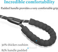 Durable No-Pull Slip Lead Dog Leash – Padded Handle & Reflective Threads for Training 