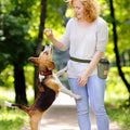 Portable Dog Treat Bag – Large-Capacity Waist Pouch for Puppy Training & Rewards