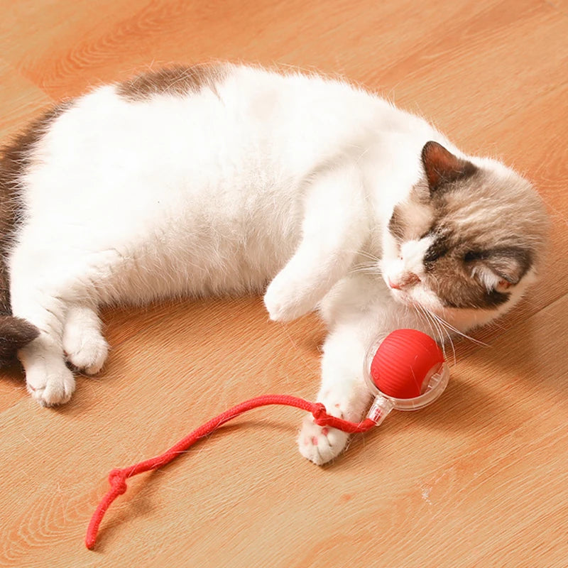 Smart Electric Rolling Cat Toy – USB Rechargeable with Sound & Interactive Rope