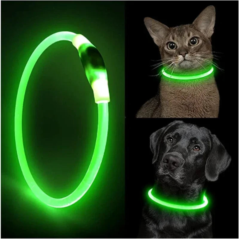 USB Rechargeable LED Dog Collar – Keep Your Pet Safe & Glowing at Night